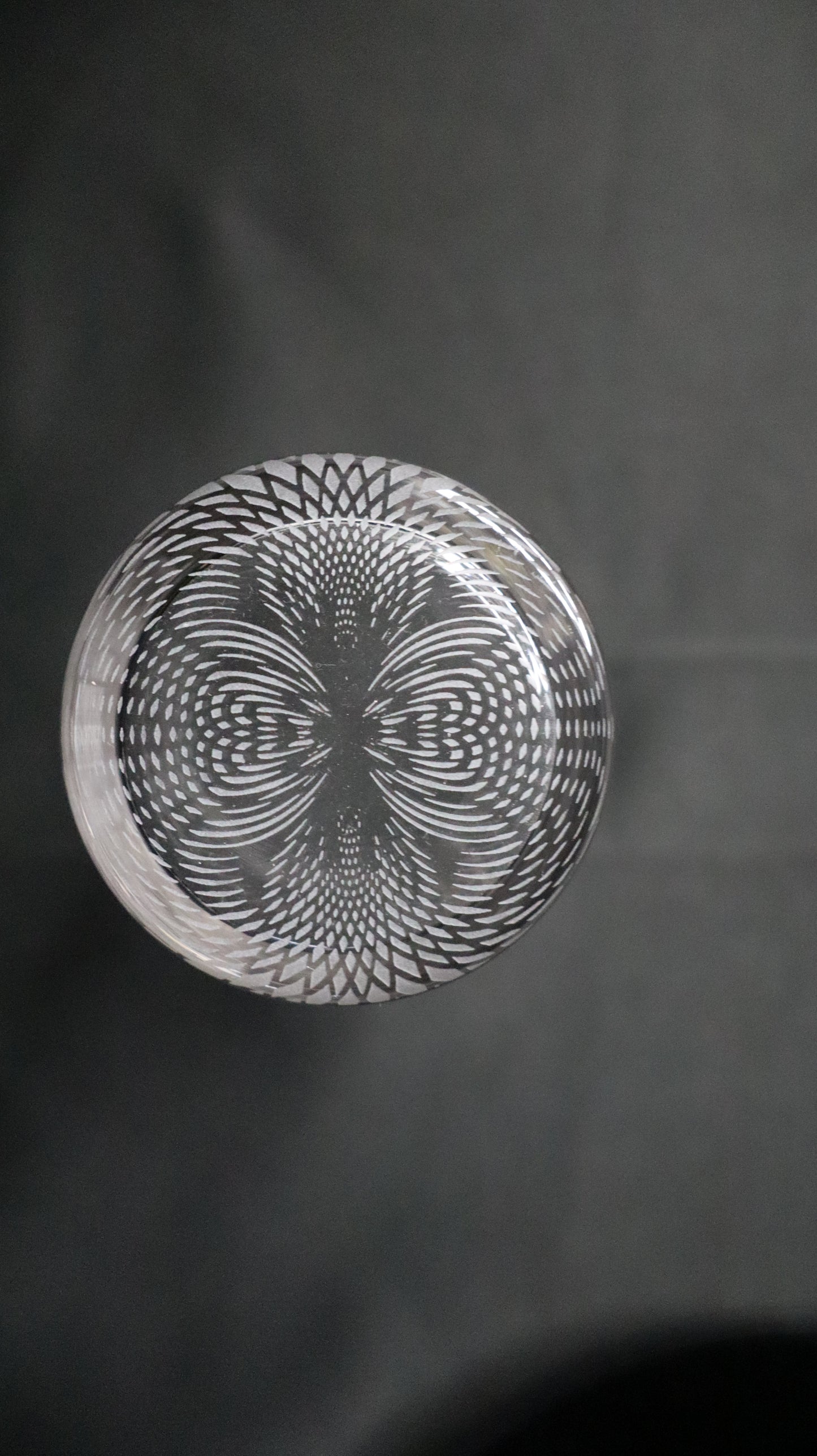 Sovereignty Glass Collin’s Cup